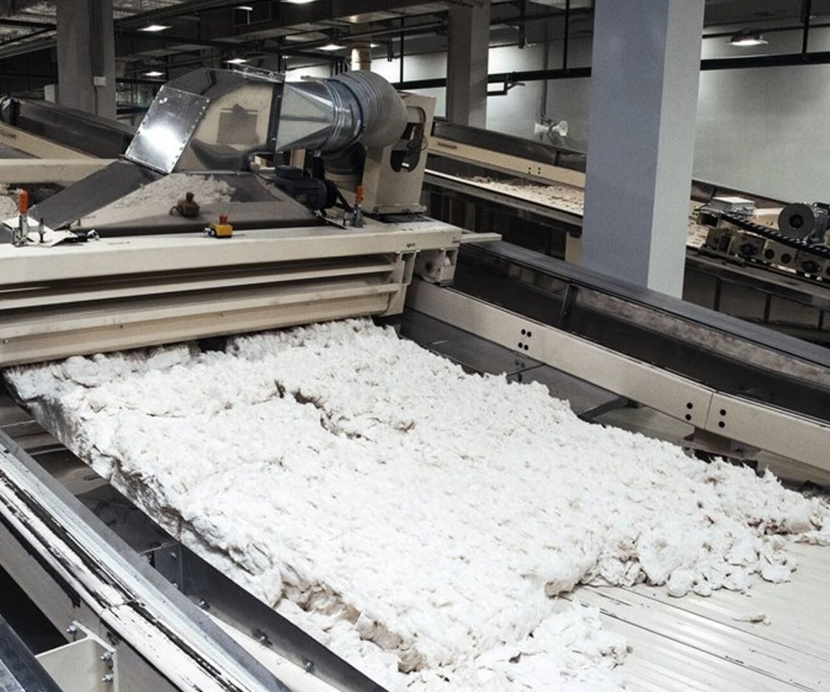 paper_pulp.jpg