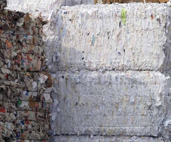 recycled_pulp.jpg